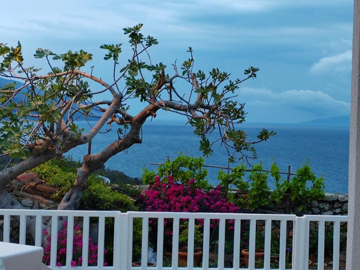 Apartment Giana Labin (Istria)