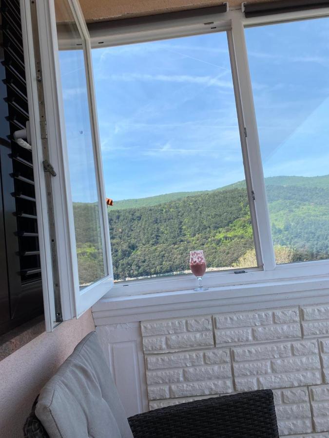 Apartment Giana Labin (Istria)