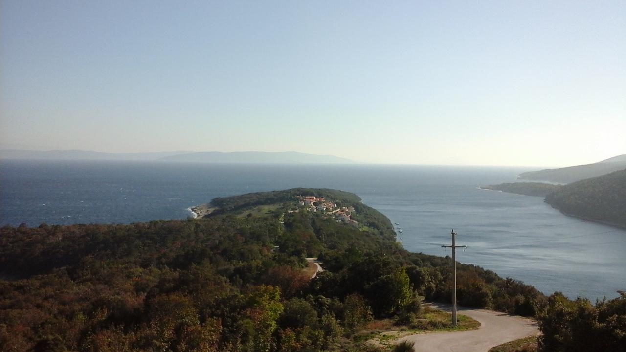 Giana Apartment Labin (Istria)